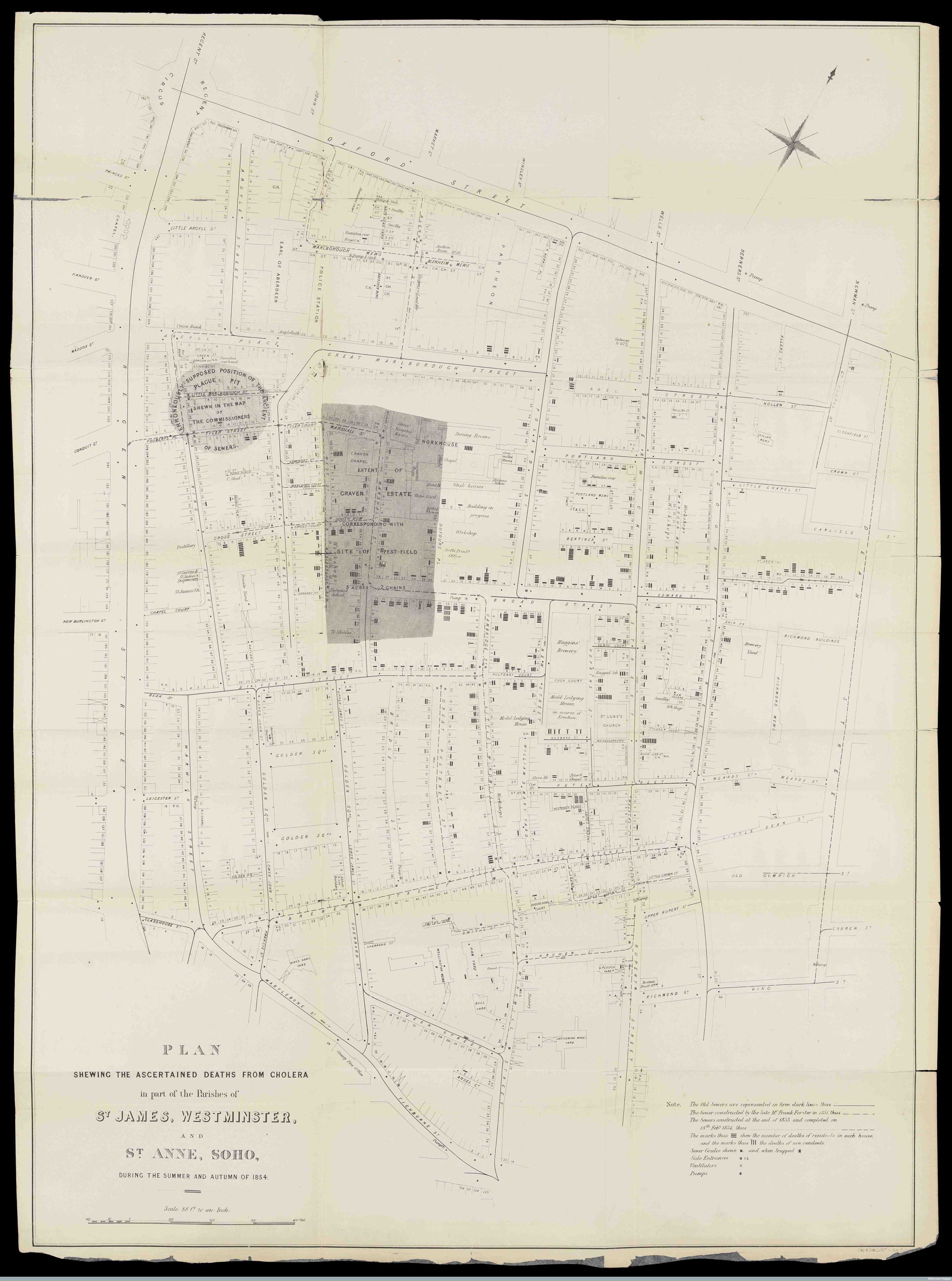 L0072142 Plan Showing the Ascertained Deaths from Cholera